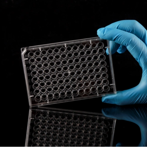 TCTreated 96 well Flat bottom Cell Culture Plates China Manufacturers